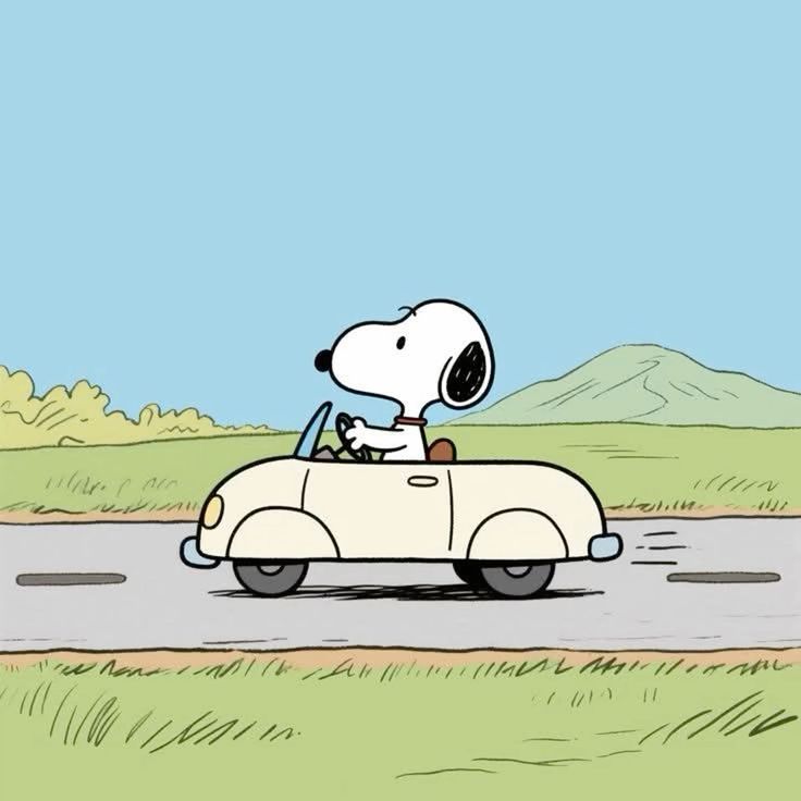 snoppy en carro